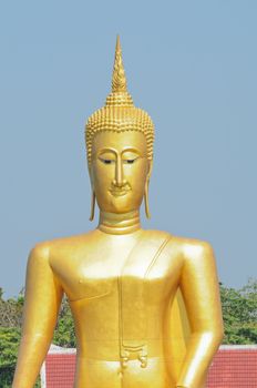 golden buddha