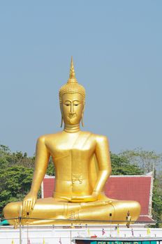 golden buddha