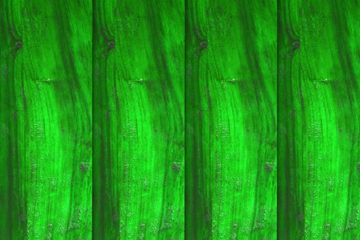 background wall of wooden tables empty green