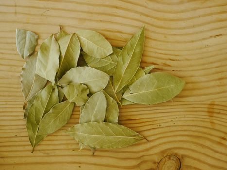 dry leaves of laurel made as background