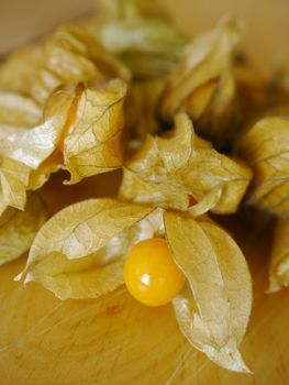 fresh Physalis on a wooden surface table