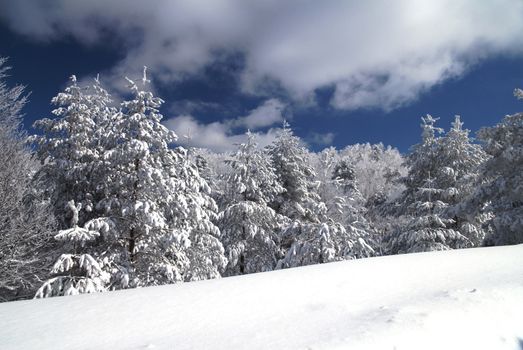 Mountain Winter Idyllic Scene