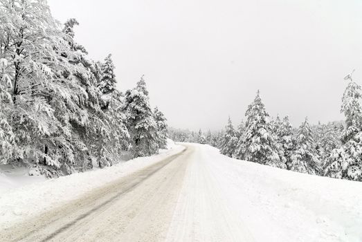 Traffic road in frost and snow, mountain, forest