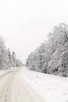 Traffic road in frost and snow, mountain, forest