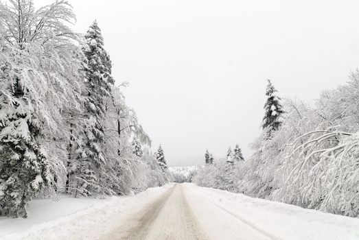 Traffic road in frost and snow, mountain, forest