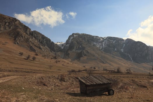 Mild winter landscape with a lonely bare tree in the Trascau Mountains,Transylvania,Romania.