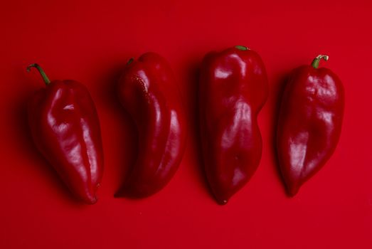 Red Peppers on red background, group of vegetables