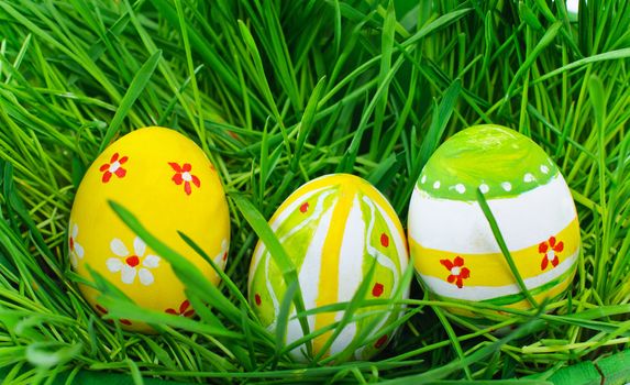 Easter eggs are colored in green grass