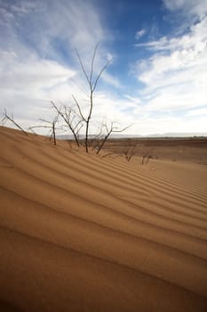 Sahara desert close to Merzouga in Morocco with blue sky and clouds