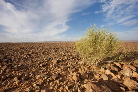 View of a wild landscape and desert in the south of Morocco