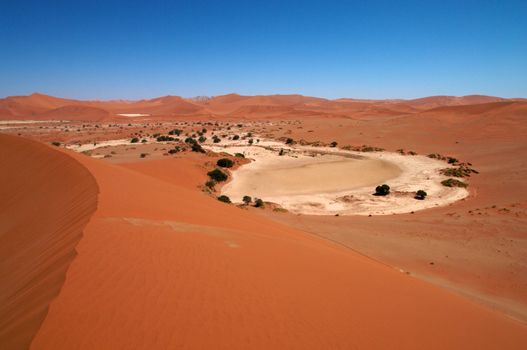 Dune sea of the Namib desert during a hot day
