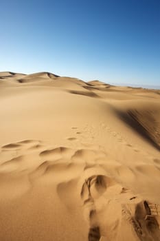 Sahara desert close to Merzouga in Morocco with blue sky and clouds