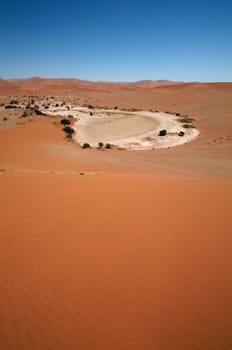 Dune sea Sossusvlei desert during a hot day with blue sky
