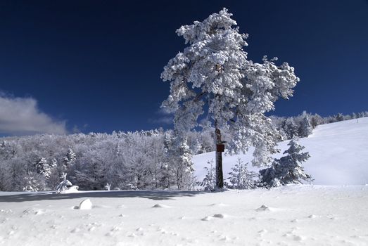 Mountain Winter Idyllic Scene