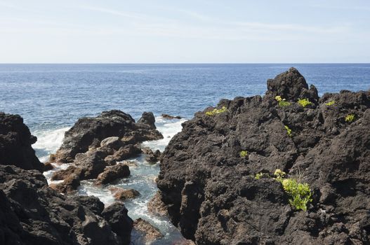 Volcanic rock in Pico island coastline, Azores