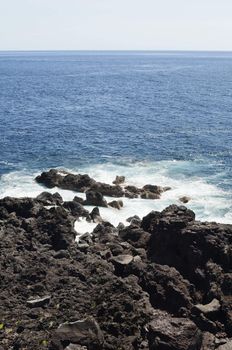 Volcanic rock in Pico island coastline, Azores