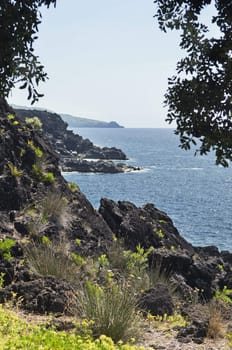 Volcanic coastline landscape of Pico island, Azores