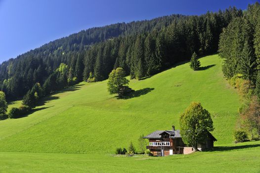 A Swiss farmhouse in verdant green fields. Space for text in the clear blue sky