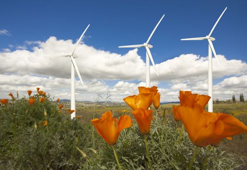 Wind Turbines Against Dramatic Sky, Clouds and California Poppies in the Foreground.
