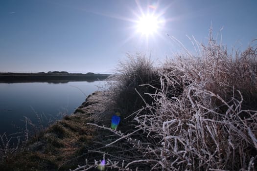 icy twigs and branches in the snow against a sun rising in blue river and sky background
