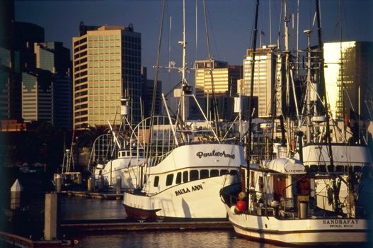 San Diego Harbor