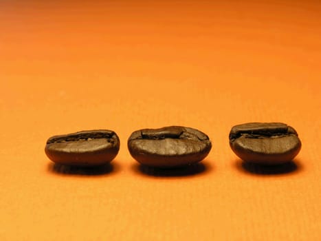 Group of Coffee-berry on orange background
