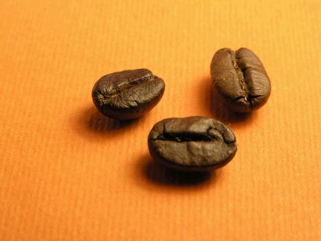 Group of Coffee-berry on orange background