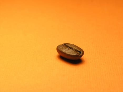 One coffee-berry on orange background