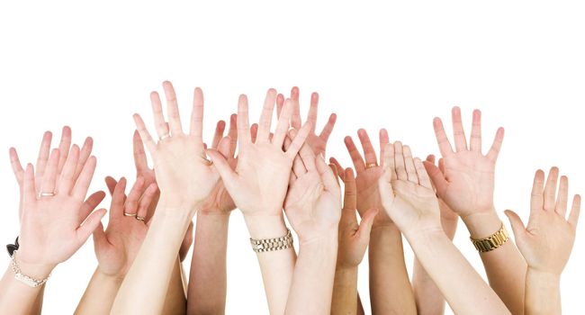 Human Hands Raised isolated on White Background