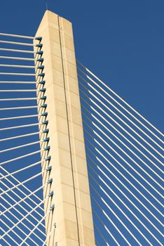 Vasco da Gama bridge is the largest in Europe over the Tagus river