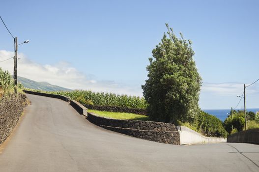 Country road in Pico island, Azores