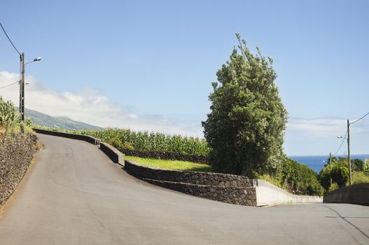 Country road in Pico island, Azores