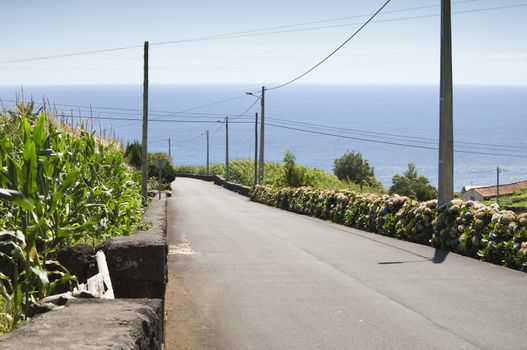 Country road in Pico island, Azores