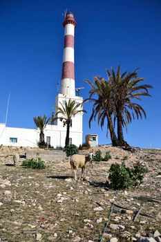 Beautiful Lighthouse on the island Djerba in Tunisia