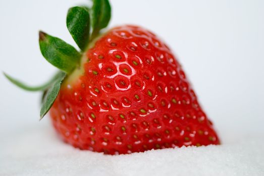 Fresh strawberry over white sugar