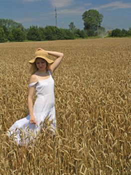 Field of Wheat