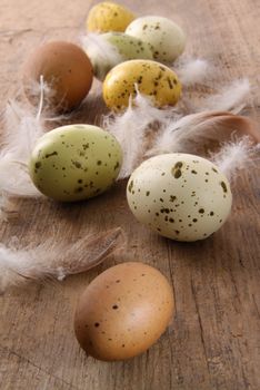 Speckled easter eggs with feathers on wooden table 
