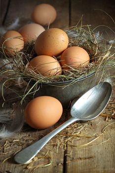 Fresh brown eggs in old tin container with spoon on wood background