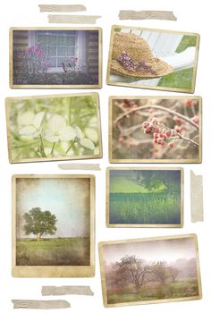 Collection of seasonal photos in vintage frames with tape