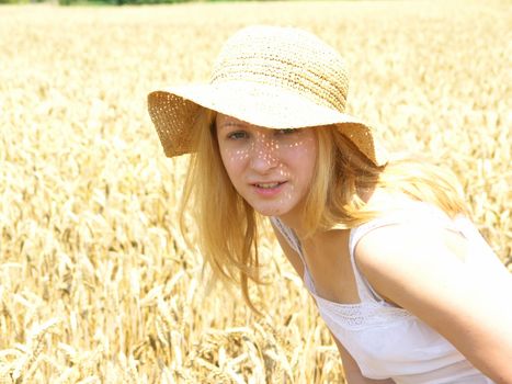 Field of Wheat