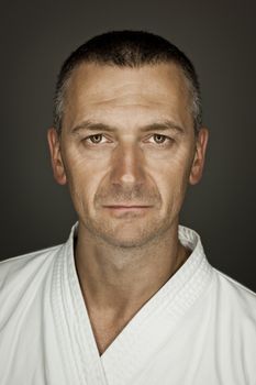 An image of a martial arts master