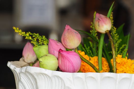 flower for Buddhist religious ceremony