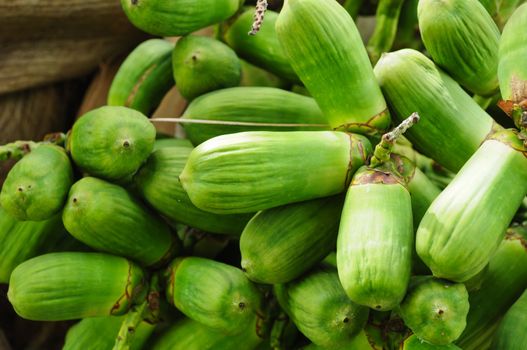 green coconut at tree