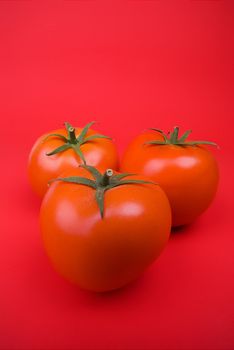 Group of red tomatoes on red background