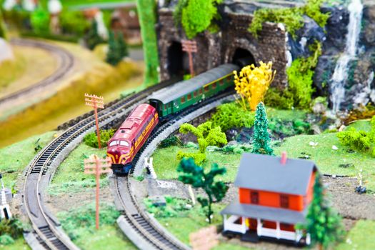 Detail of trains models: concept of collection