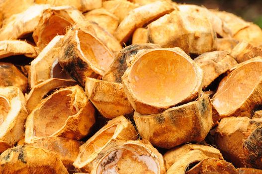 A large number of coconut shells