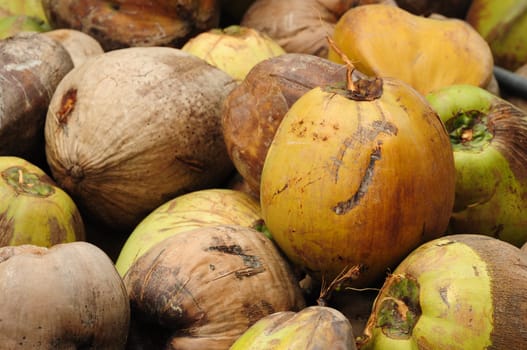 Many coconut. Lie on the floor