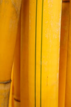 texture of bamboo