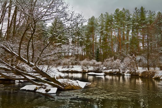 river flowing through forest in winter