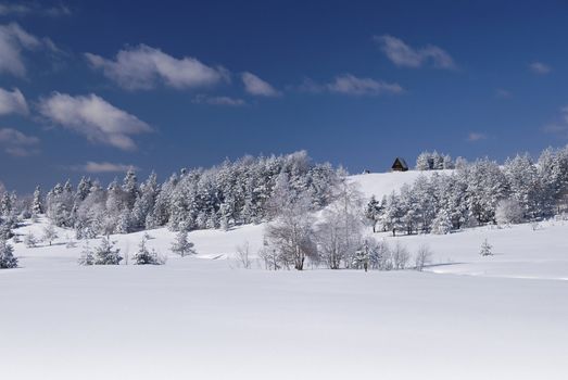 Mountain Winter Idyllic Scene